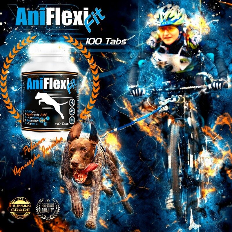 AniFlexi Fit грижа за ставите с подкрепа за мускулатурата и общия тонус 100капсули