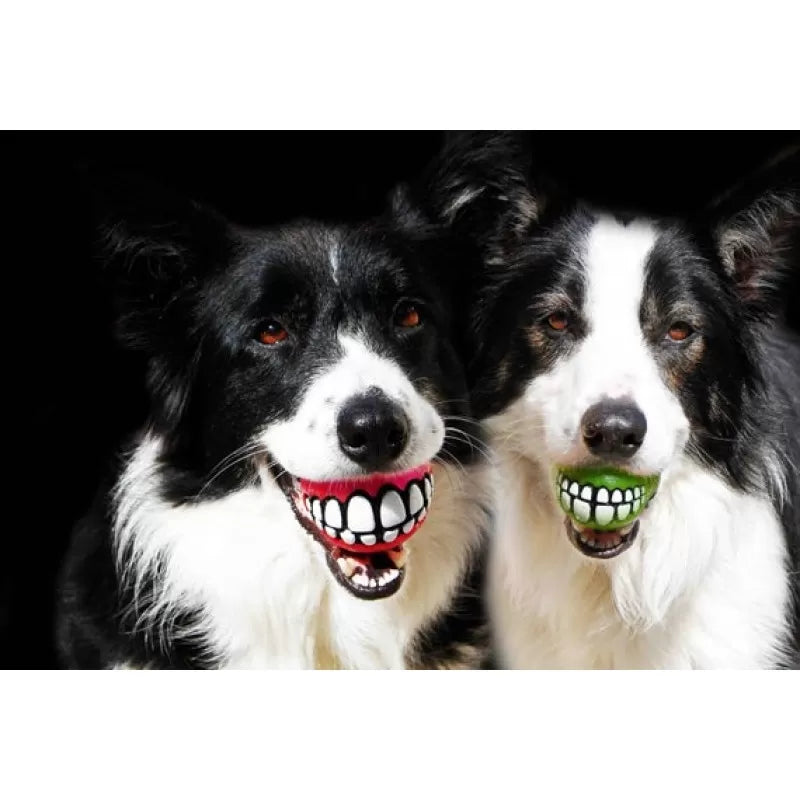 Топка ROGZ GRINZ