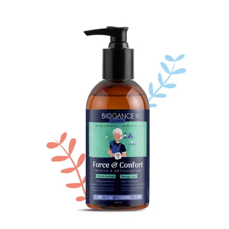 БГ SPA Massage musle&articulation 250мл