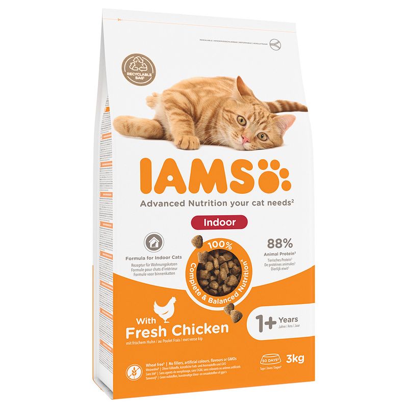 IAMS CAT INDOR с пиле