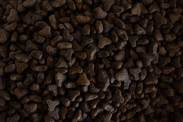 Hit Fish cocktail 10 kg.