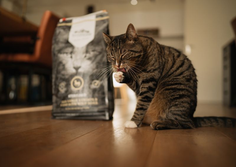 RIVERWOOD за вътрешни котки с пиле, патица и сьомга