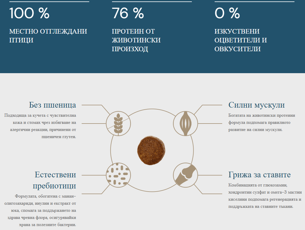 QUATTRO SPORT ALL BREED