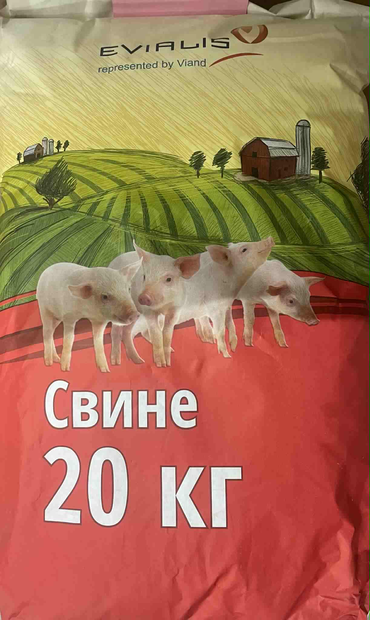 Прасета стартер