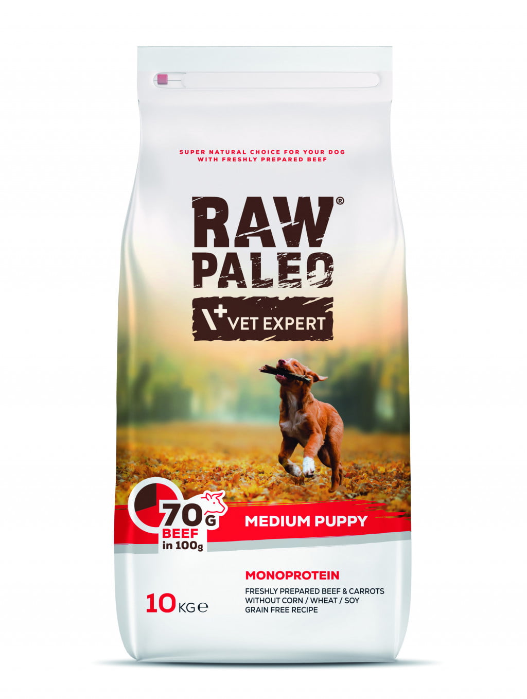 Raw Paleo Puppy Medium Beef