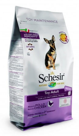 SCHESIR He bred with a chicken