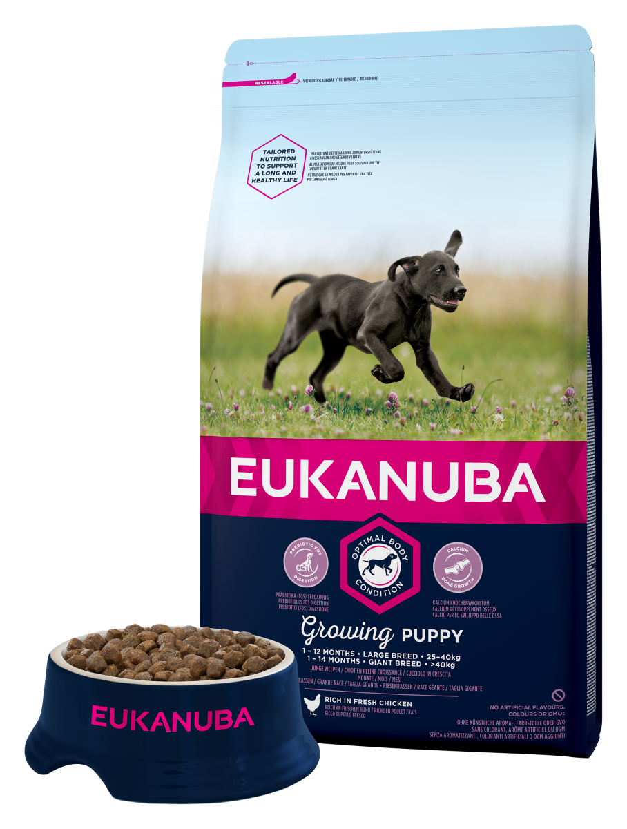 EUKANUBA PUPPY LARGE 15+3кг