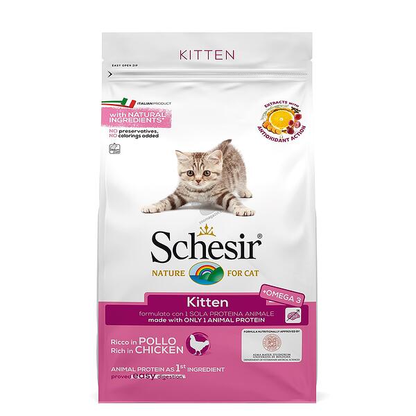 SCHESIR Kitten