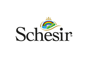 Schesir