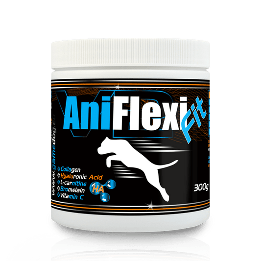 AniFlexi Fit за възстановяване от ставни и физически травми 300гр