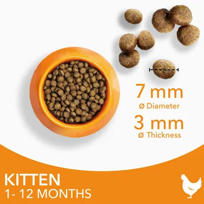 IAMS CAT KITTEN с пиле