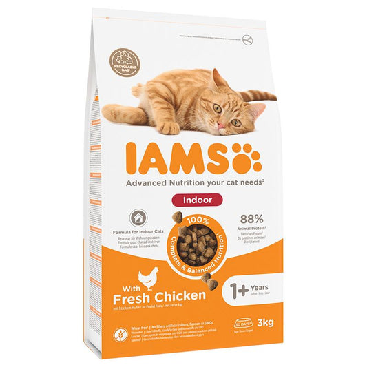 IAMS CAT INDOR с пиле