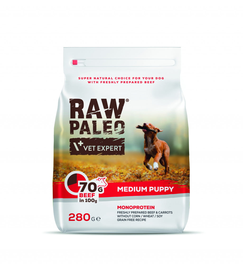 Raw Paleo Puppy Medium Beef