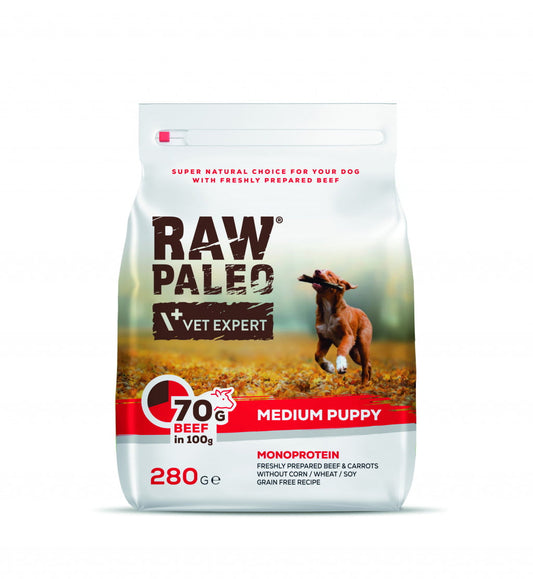 Raw Paleo Puppy Medium Beef