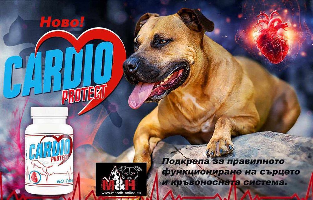 Калций V2 + D3 60таблетки