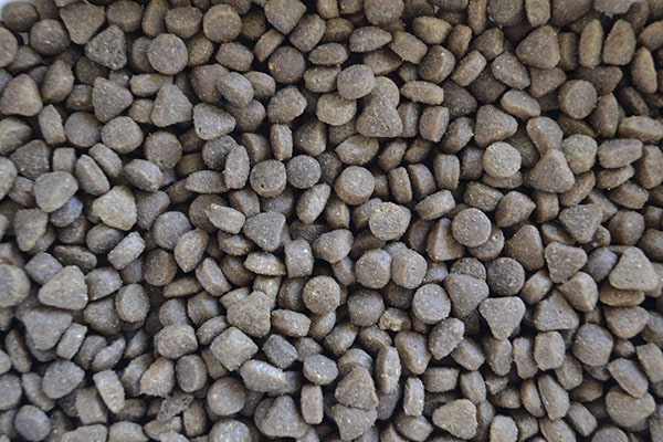 Hit for neutered cats 10 kg.