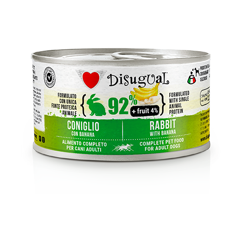 DISUGUAL FRUIT-консерва пастет за кучета със заек и банан