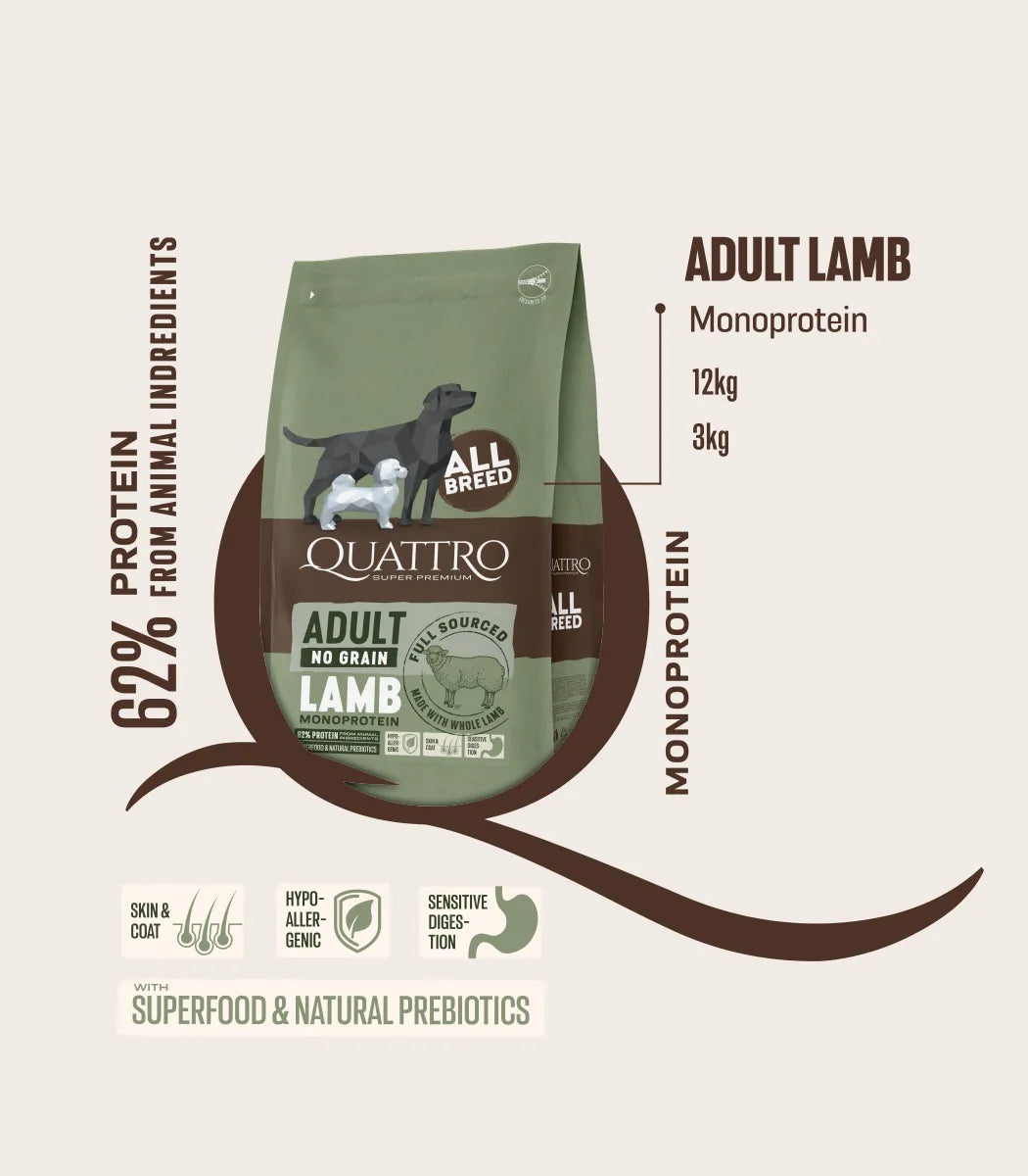 QUATTRO израснали кучета от дребни породи с агне