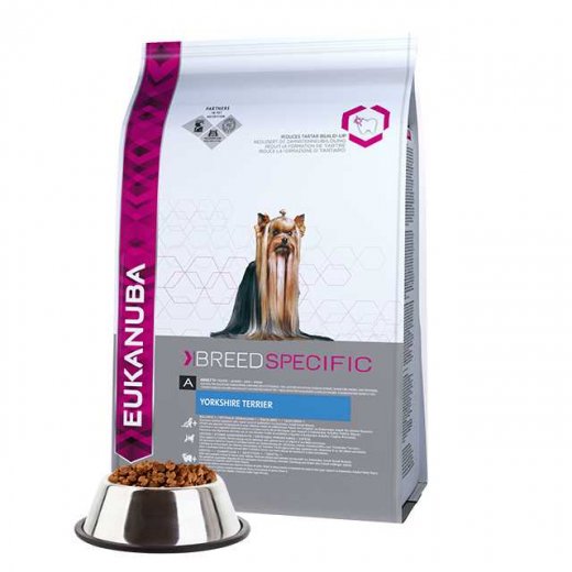 EUKANUBA  YORKSHIRE TERRIER
