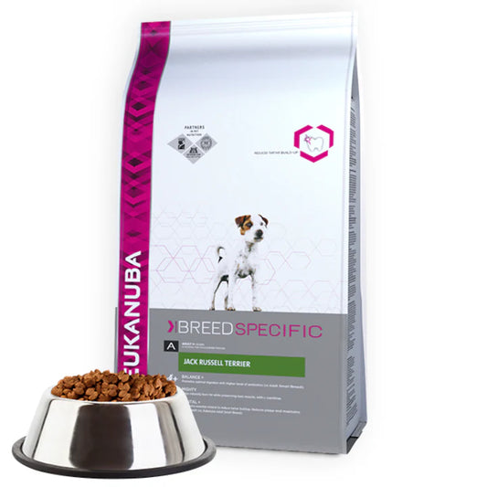 EUKANUBA Jack russel terrier