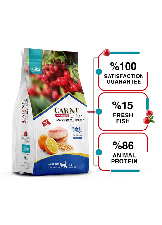 Плик Carni Life Cranberry Adult Cats риба и портокал на бял фон.