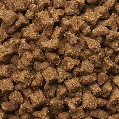 IAMS CAT MULTICAT 15