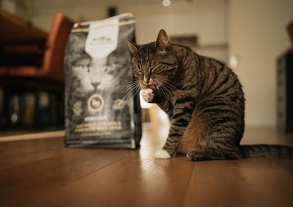 RIVERWOOD за вътрешни котки с пиле, патица и сьомга