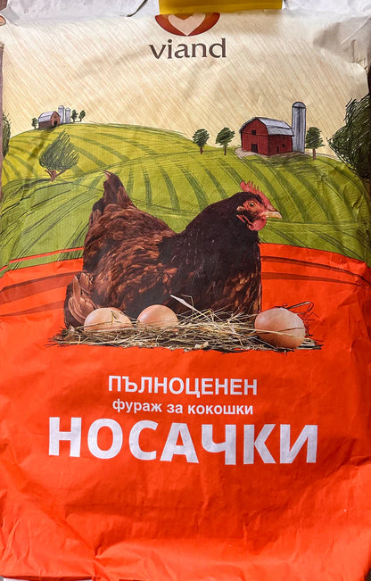 Кокошки носачки фаза 3