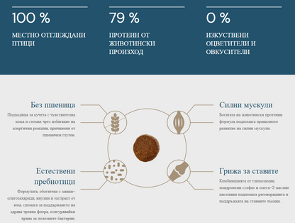 QUATTRO ADULT MAXI for adult dogs of large and giant breeds with chicken