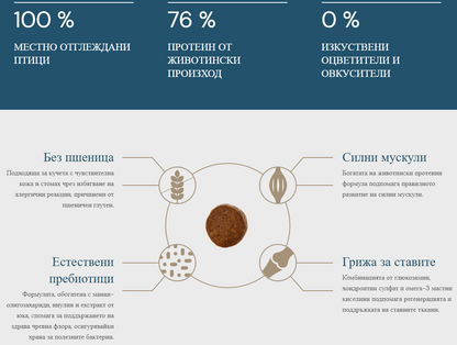 QUATTRO SPORT ALL BREED