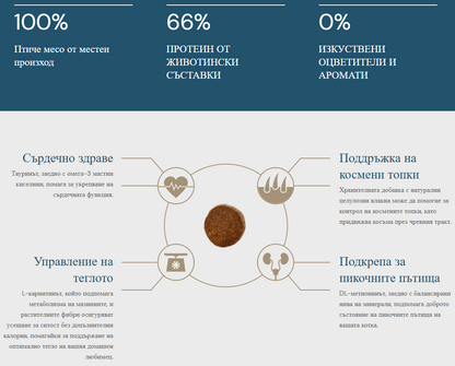 QUATTRO 7 kg dry cat food for neutered cats with chicken