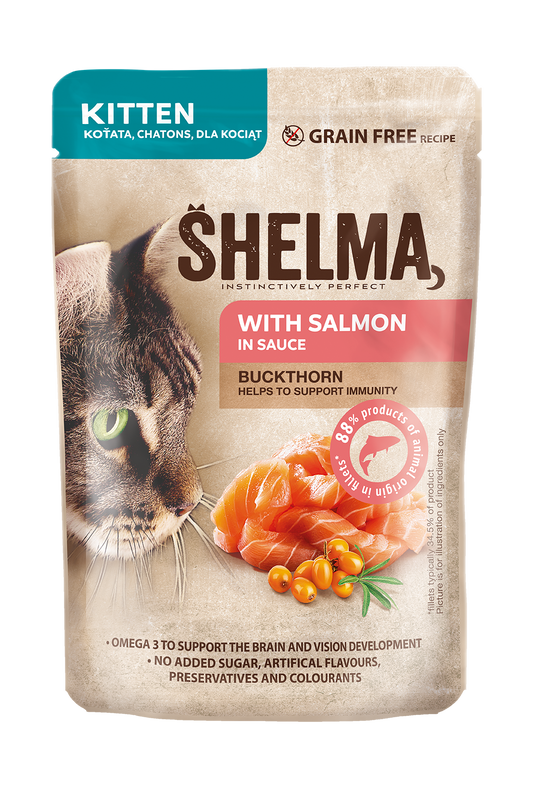 SHELMA-задушени филета за малки котки със сьомга и зърнастец в сос 85гр