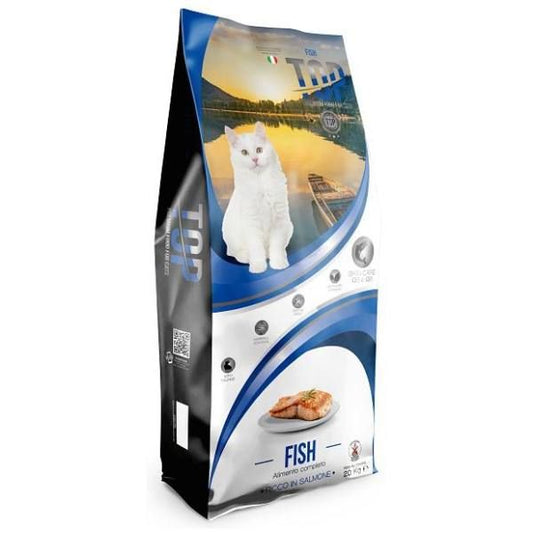 Top 20 kg kitten Fish