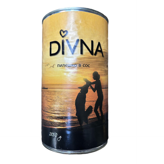 DIVNA Chicken in sauce