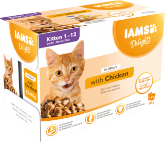 IAMS CAT POUCH KITTEN GRAVY 12X85