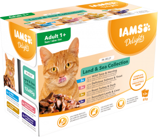 IAMS CAT POUCH LAND AND SEA JELLY