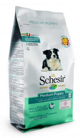 SCHESIR Puppy с пиле