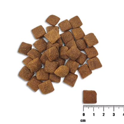 Raw Paleo Healthy Grain Adult Chicken